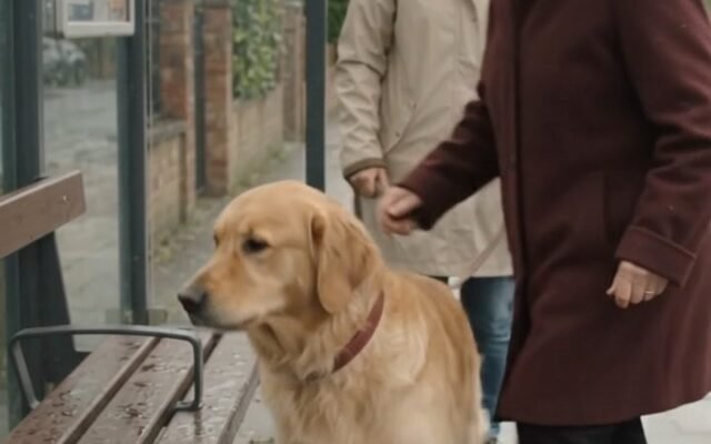 Bruno at the Bus Stop: Alerting to the Forgotten Phone