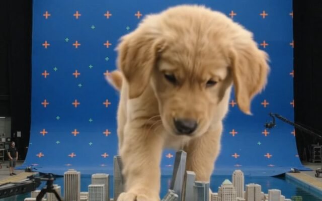 Golden Retriever Puppy in a Tiny Waterfront: AI Video Prompt