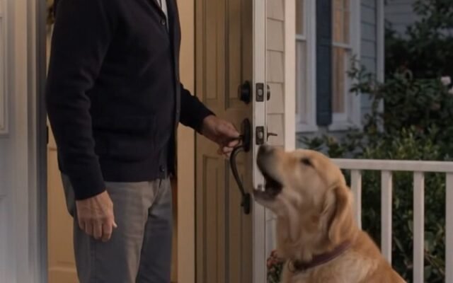 Why Bruno Refused to Enter: The Front Porch Alert